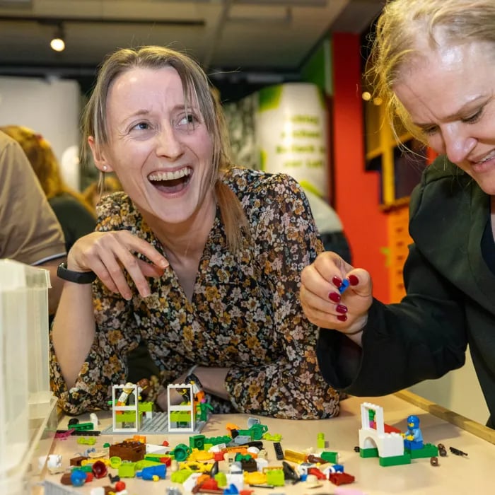 LEGO for Adults 3