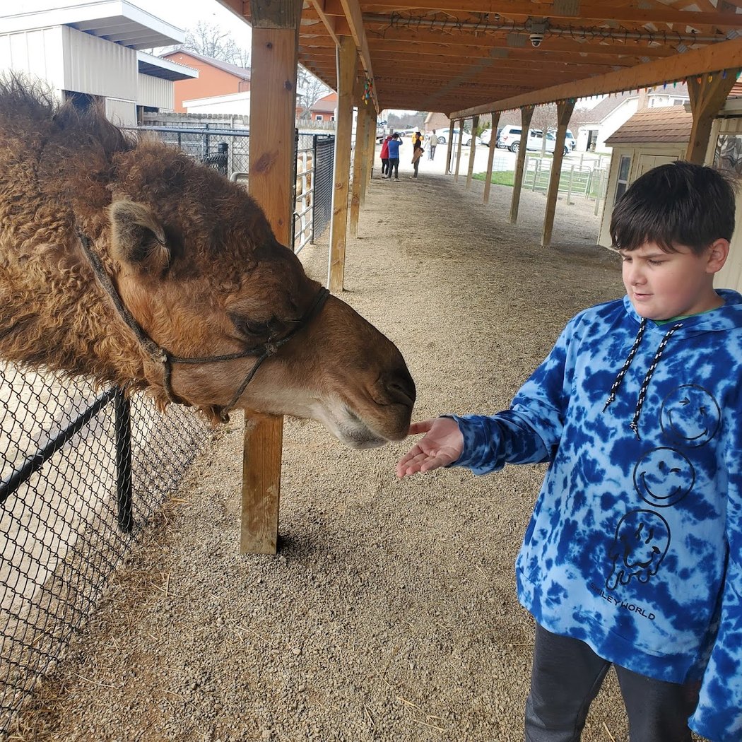 Majestic Meadows Alpacas & Boutique 4