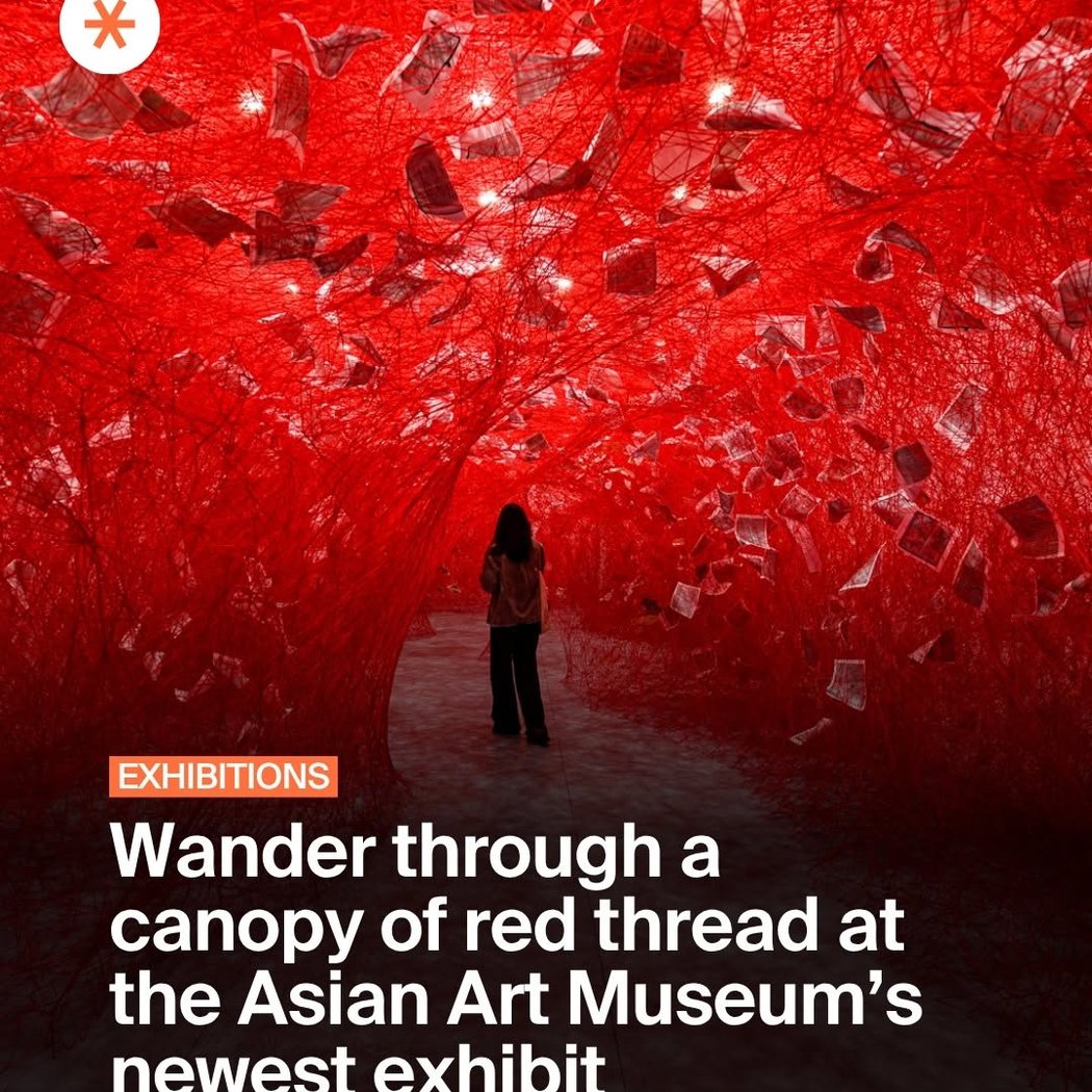 Wander through a canopy of red thread 1
