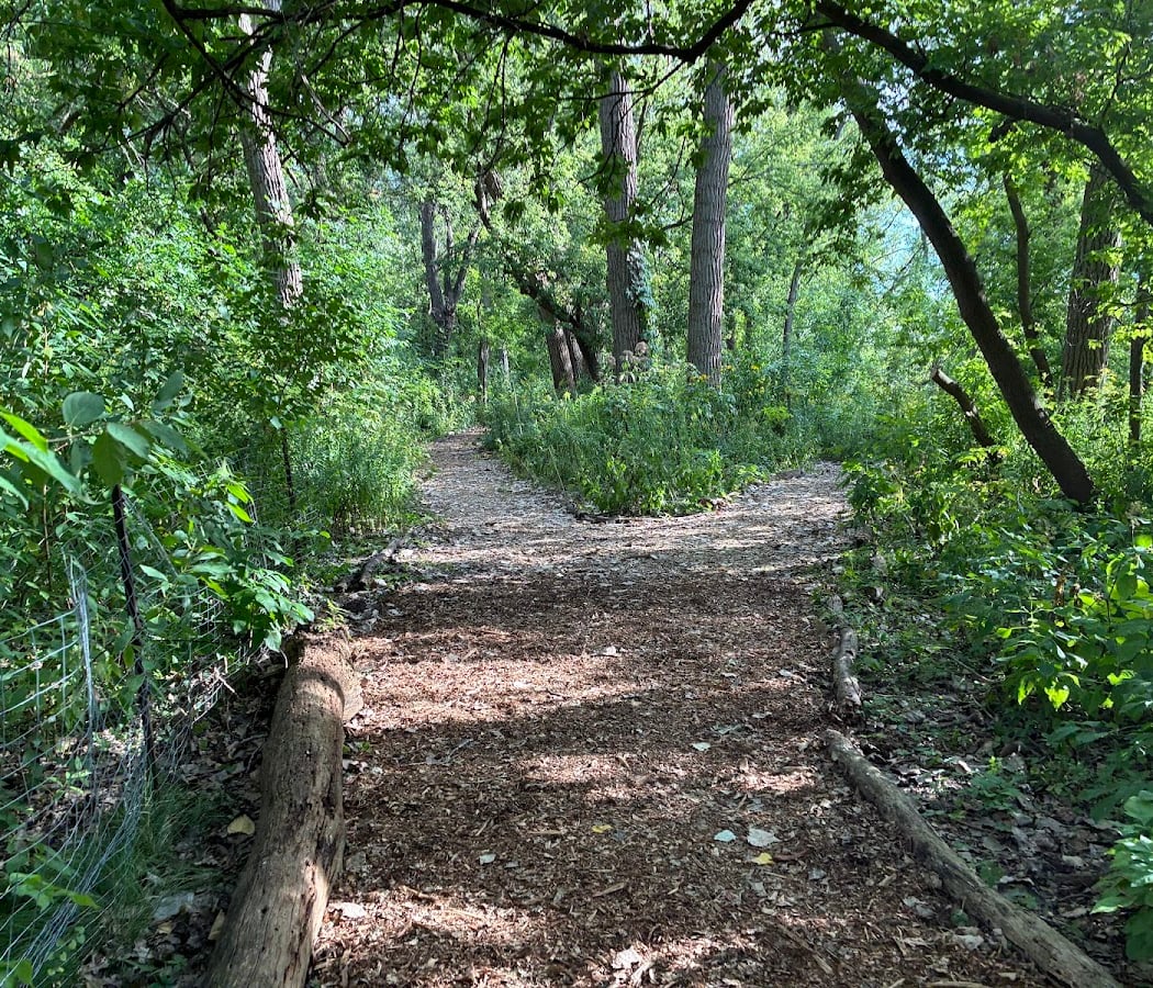 Harbert-Payne Park Habitat Restoration Workday 2