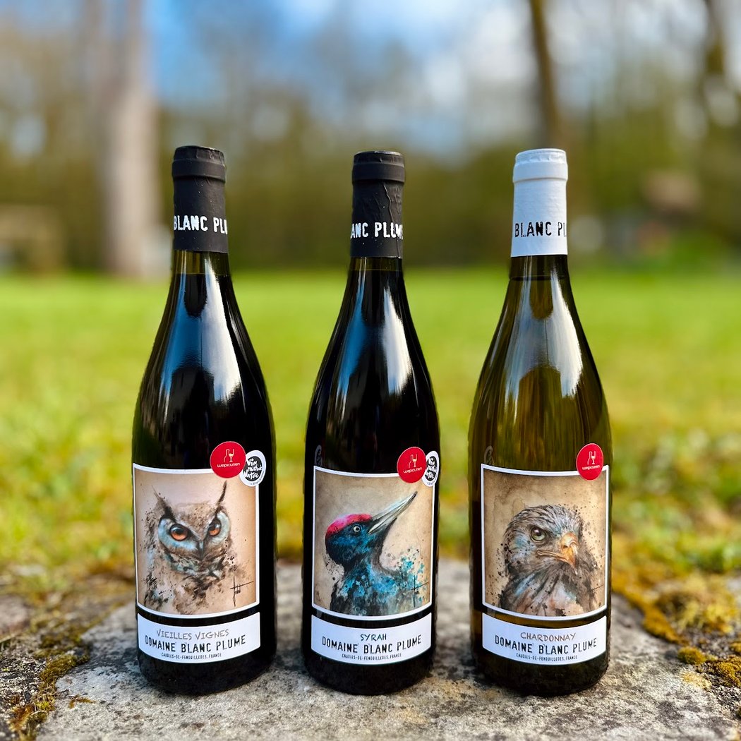Wepicurien · Animation oenologique à Paris & cave à vins en ligne 1