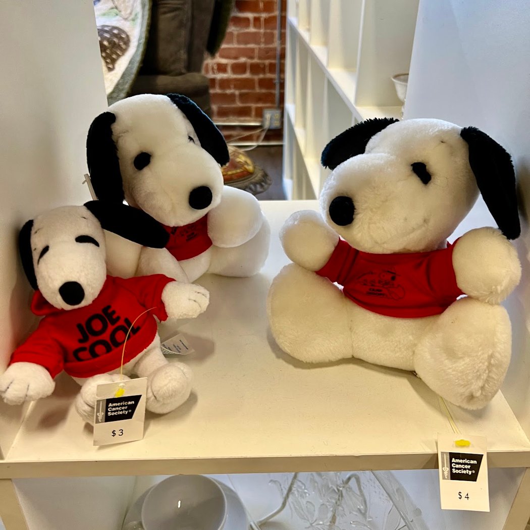 American Cancer Society Discovery Shop - Oakland 1