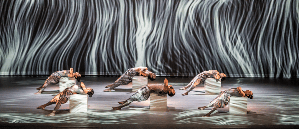 Contemporary Expression in Dance 1