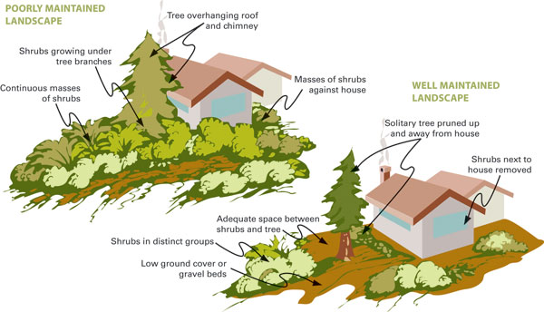 Wildfire Resilience Expert Panel: Protecting Homes & Communities 3