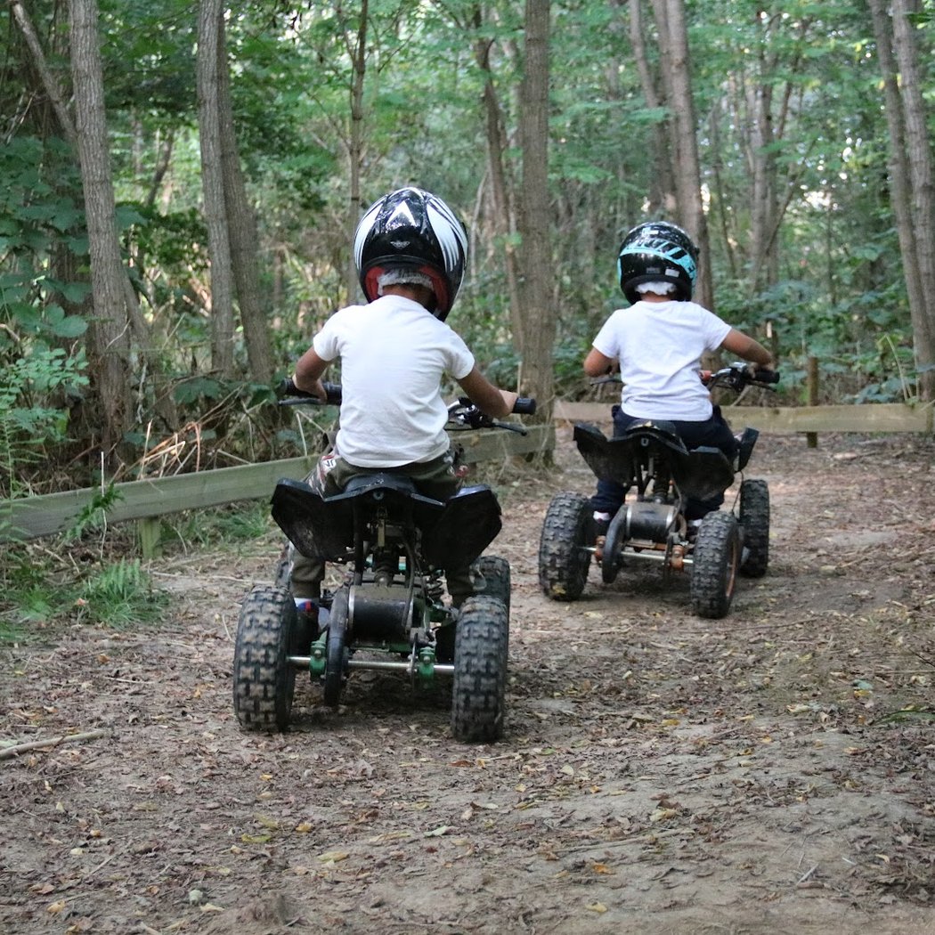Forest Arena | Parc de loisirs IDF | Accrobranche 77 4