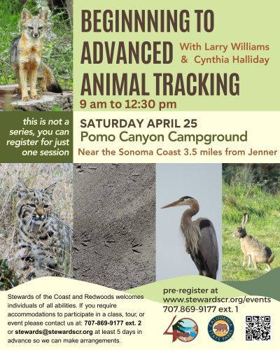 Beginning to Advanced Animal Tracking 1