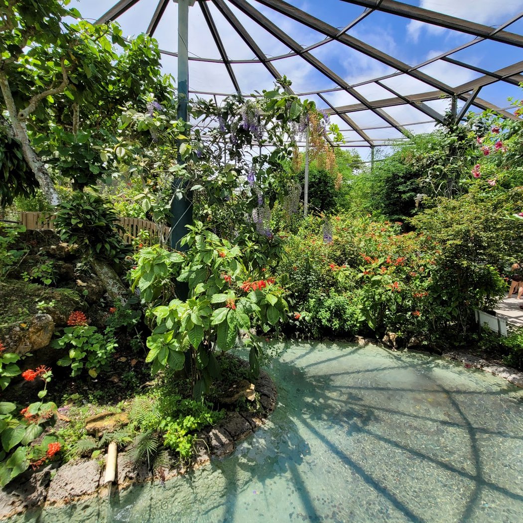 Butterfly World 1