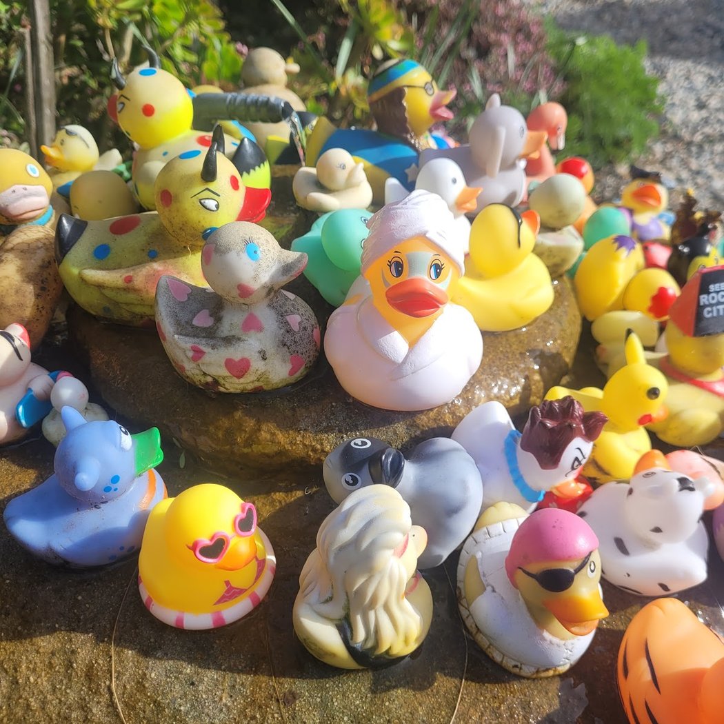 Duck Fountain 1