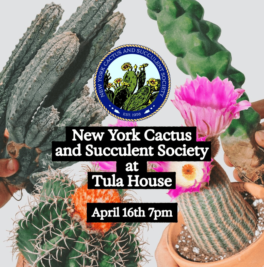 Tula House 2