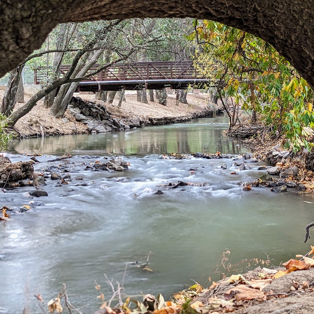 Anderson Lake County Park- Live Oak Picnic Area 1