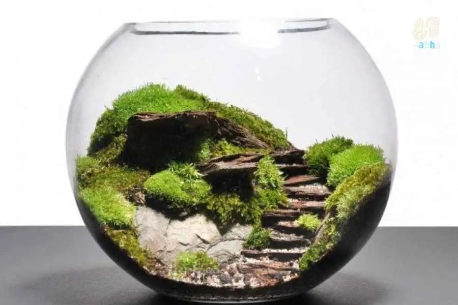 DIY Terrarium Workshop 3