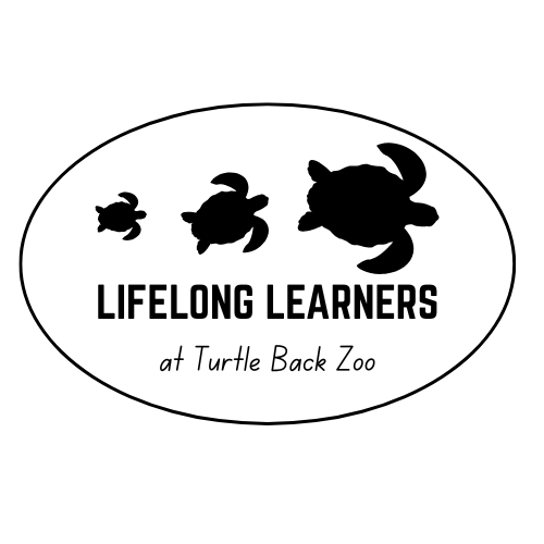Lifelong Learners 1