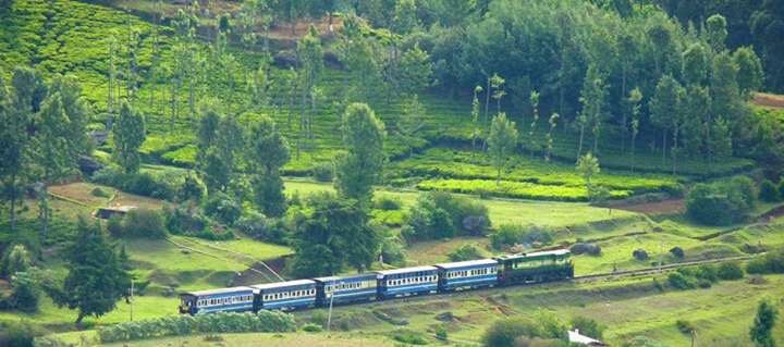 Coonoor 3