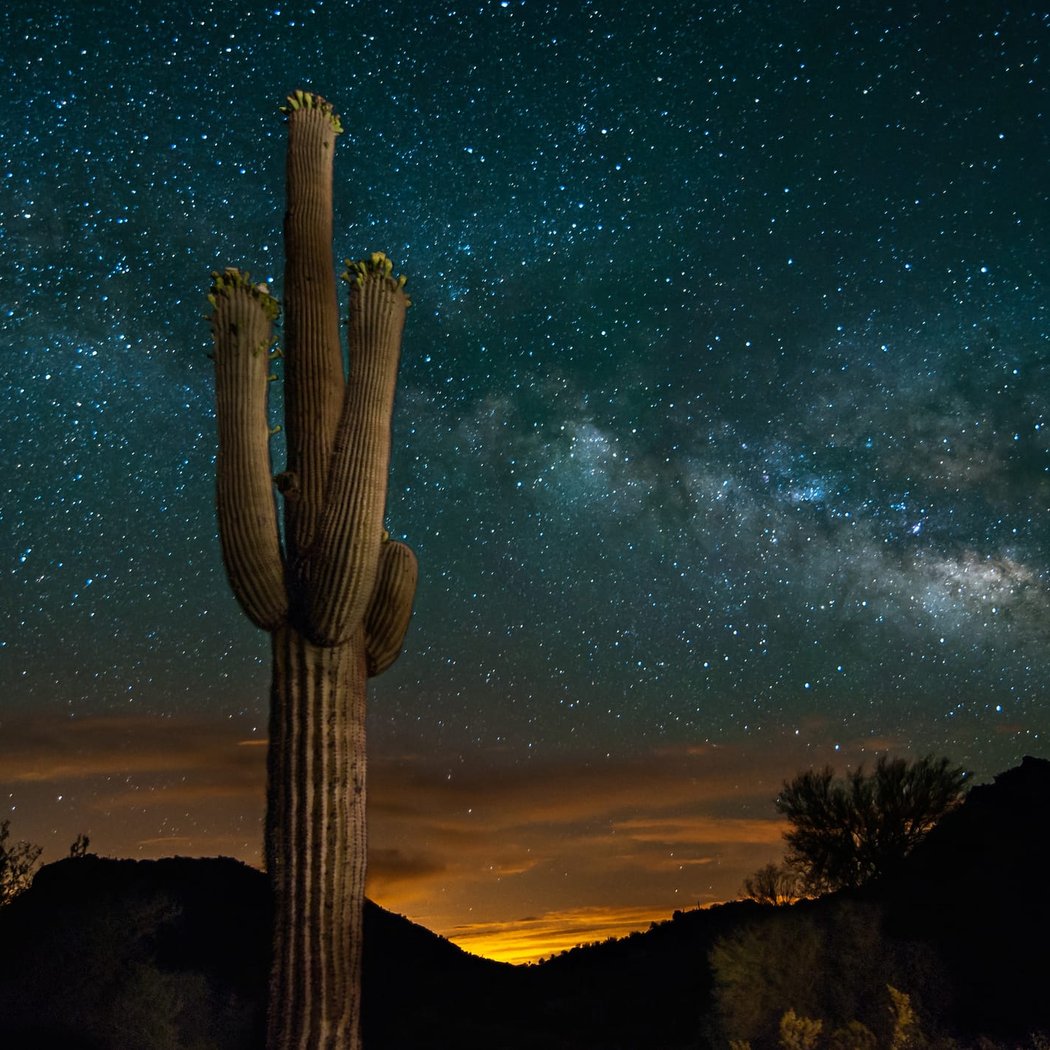 America 250: Starry Night and Striped Scorpions 1