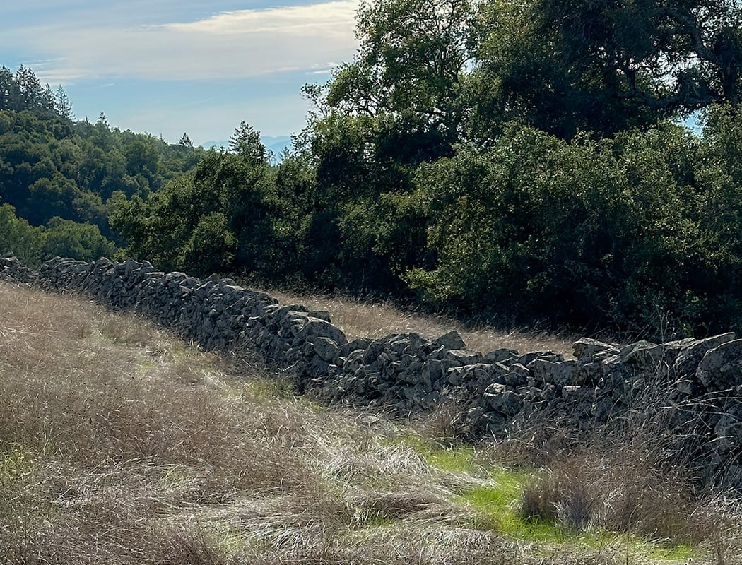 Taylor Mountain 2