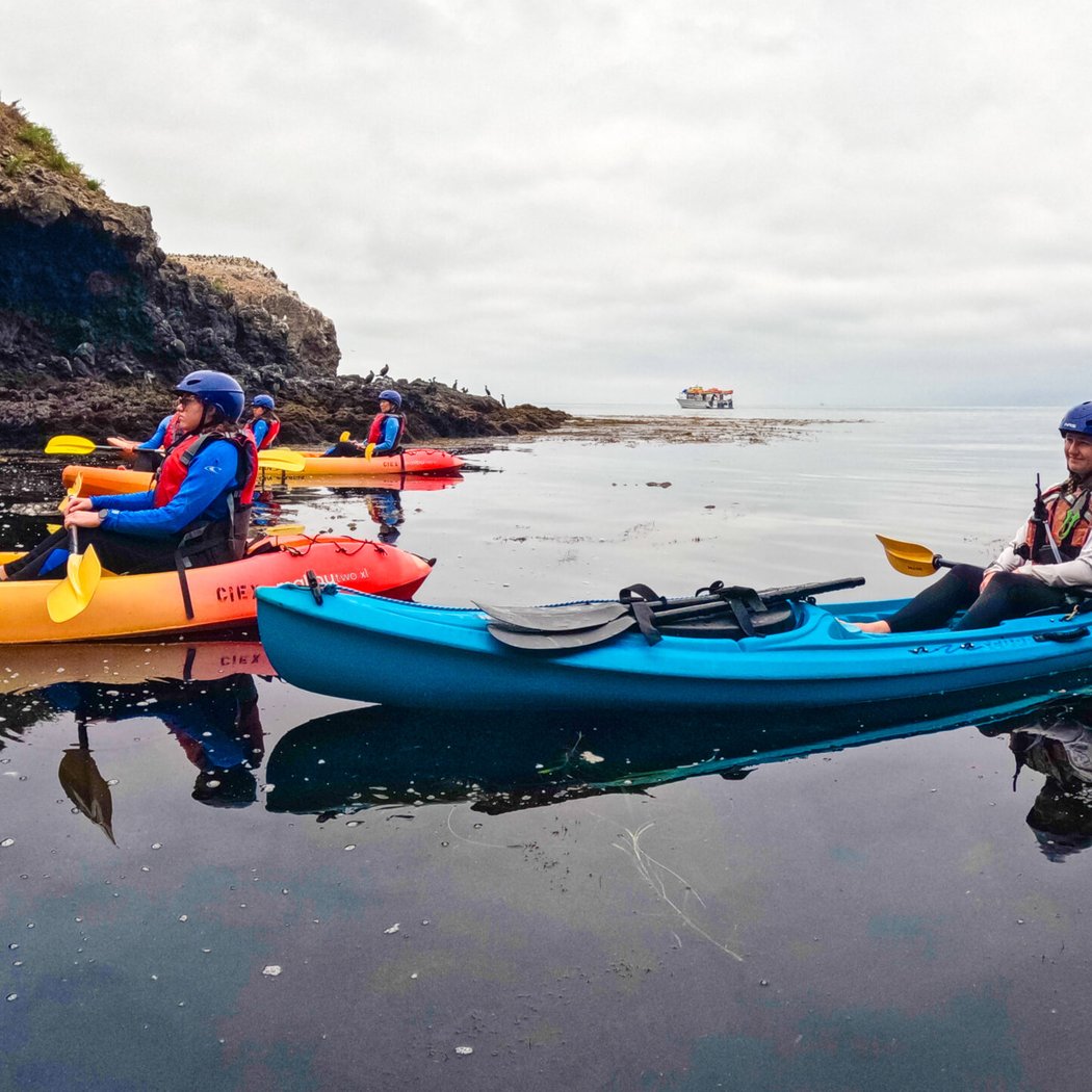 Anacapa Island Sea Caves Kayak & Snorkel Tour 2