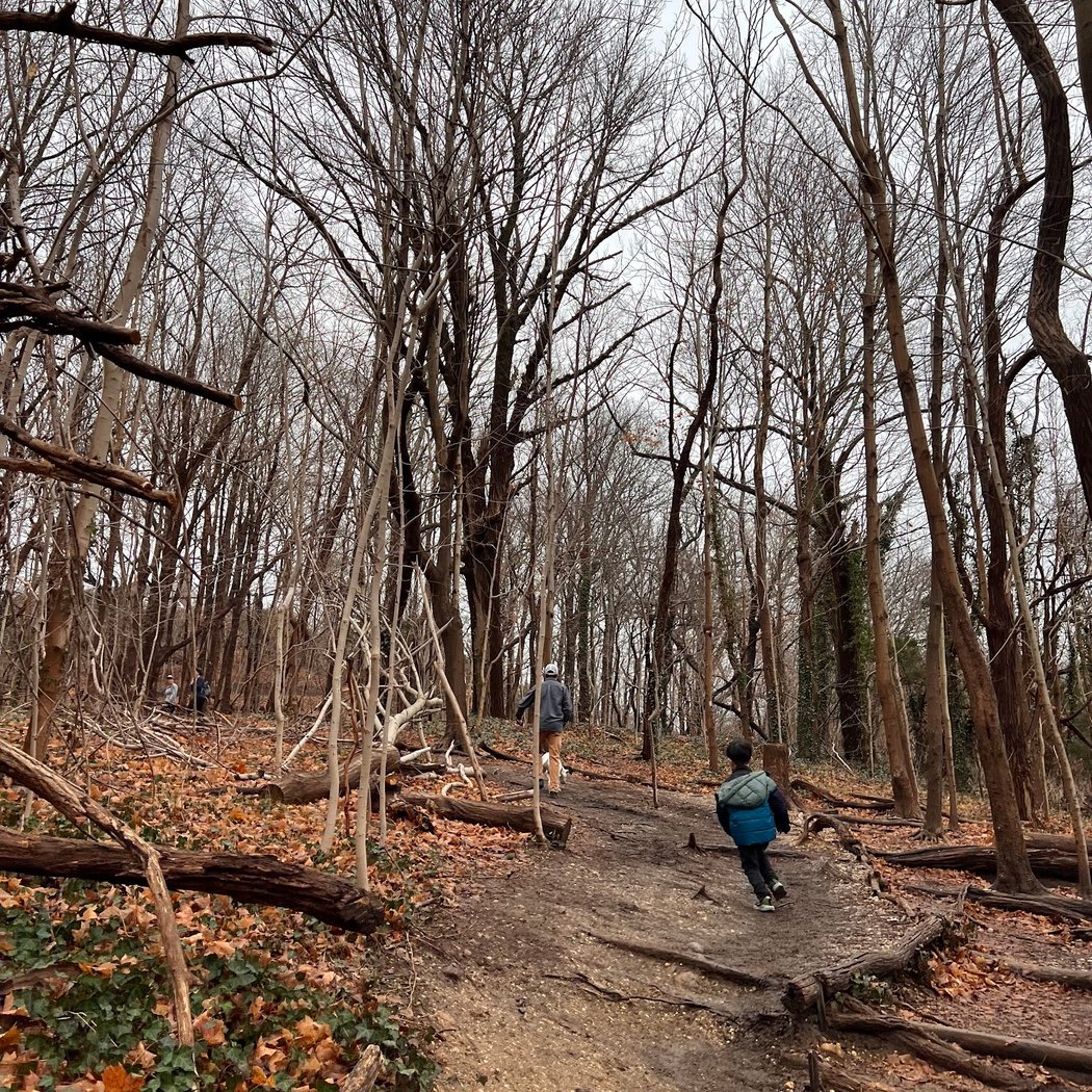 Cold Spring Harbor State Park 5
