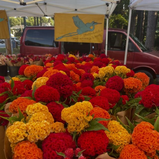 Decatur Farmers Market 1
