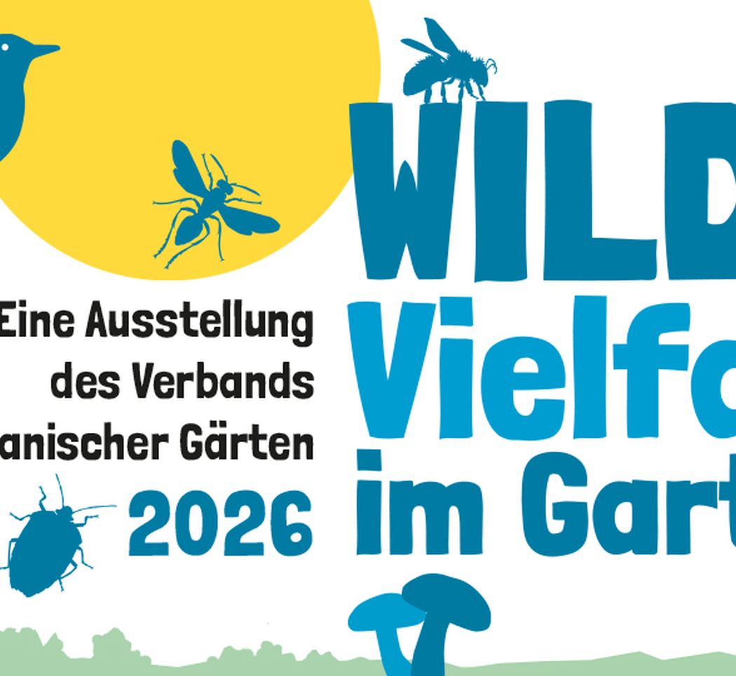 Wilde Vielfalt im Garten