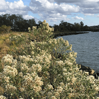EcoQuest Challenge 1