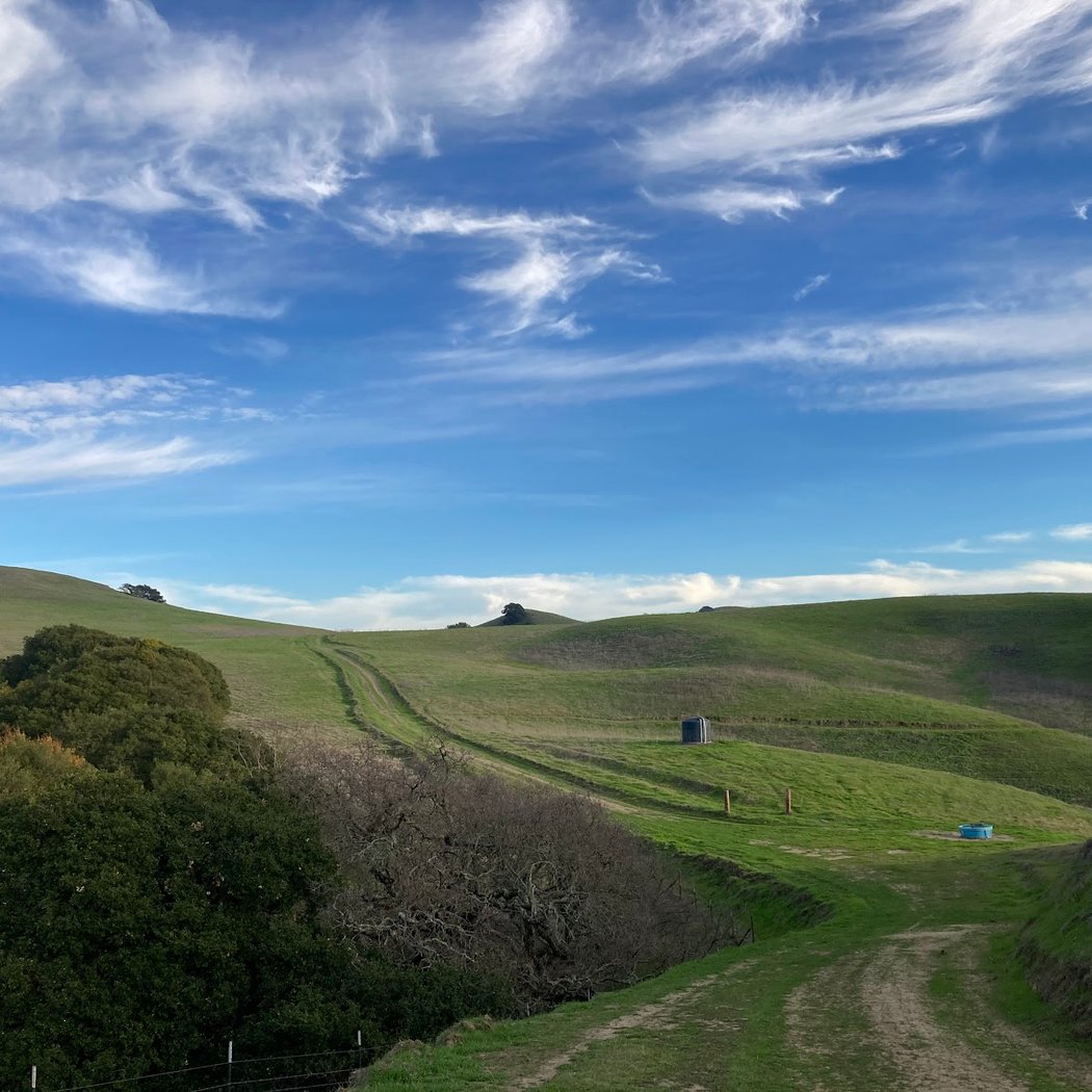 Map the Wildflowers at Fernandez Ranch