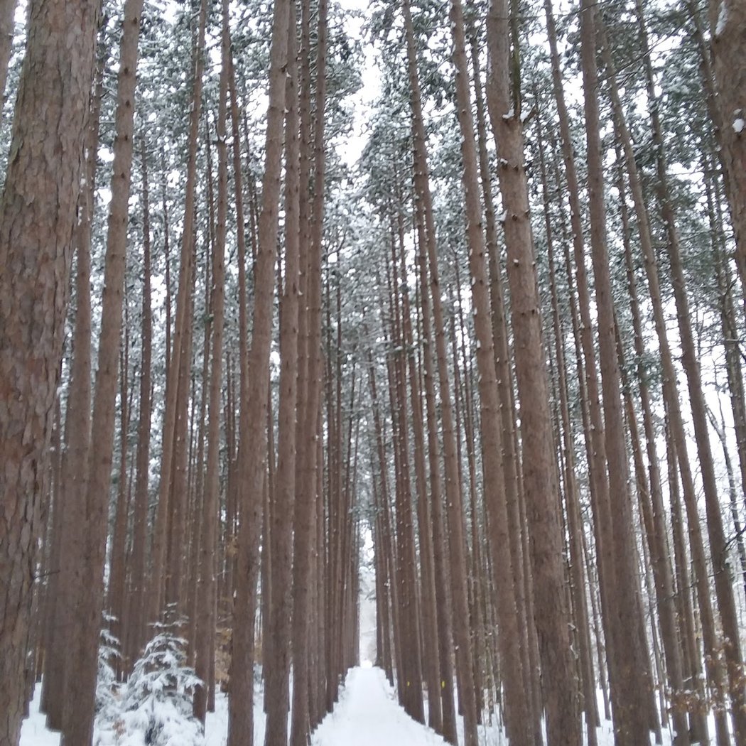 Eco-Book Club & Hike 2