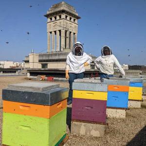 Atelier d'apiculture urbaine et dégustation de miels sur les toits 2