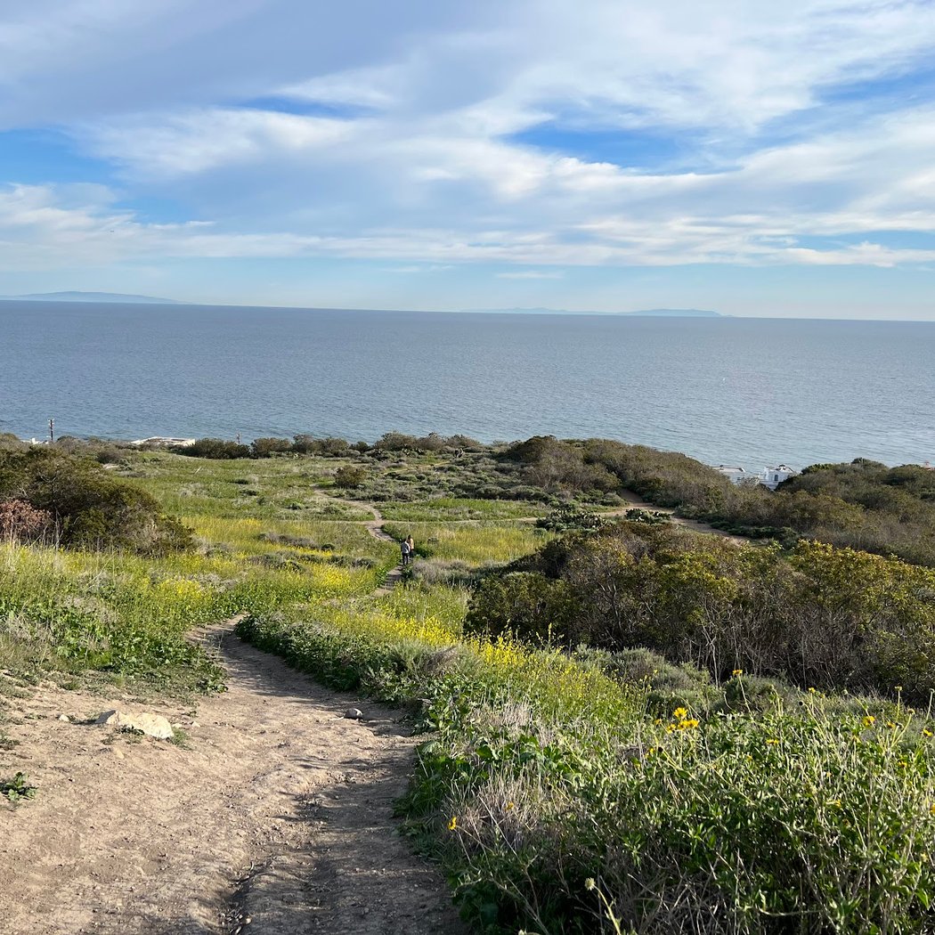 Malibu Bluffs Park 1