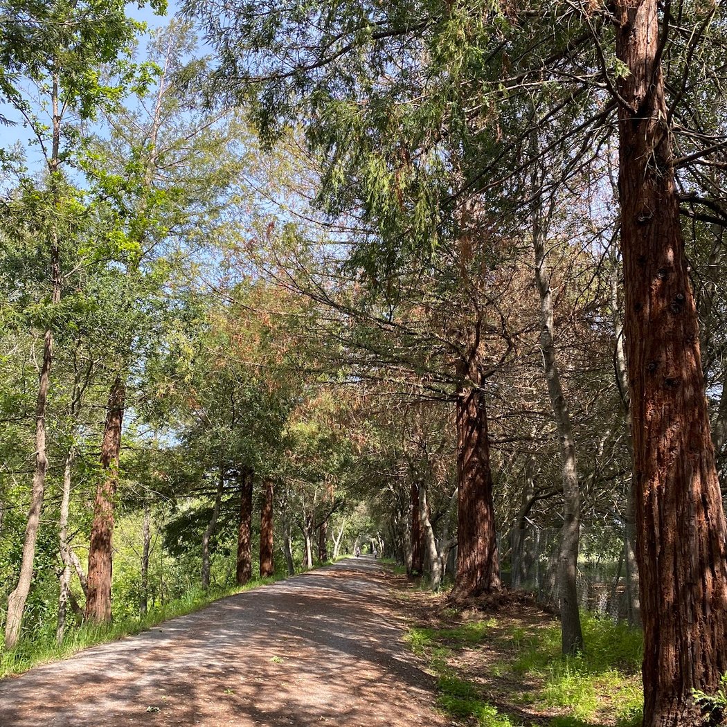 Santa Rosa Creek Trail 1