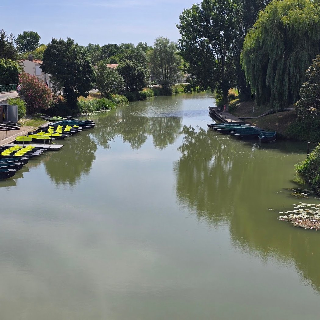 Embarcadères de Damvix La Grenouille Bleue Balades en barque dans le Marais Poitevin 4