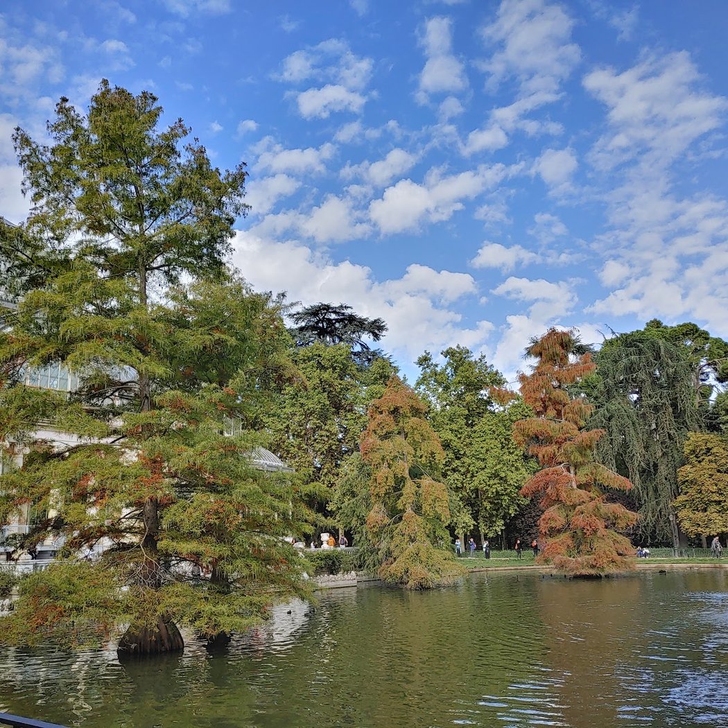 Palacio de Cristal 3