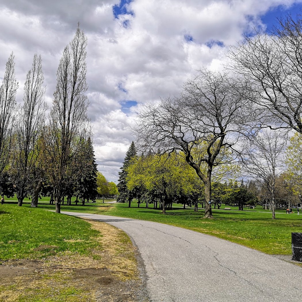 Parc Jarry 3