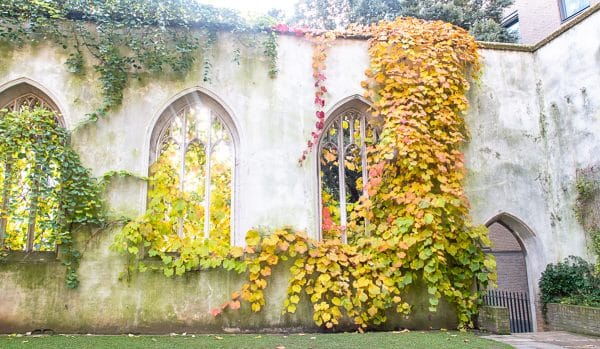 St Dunstan in the East Church Garden 1