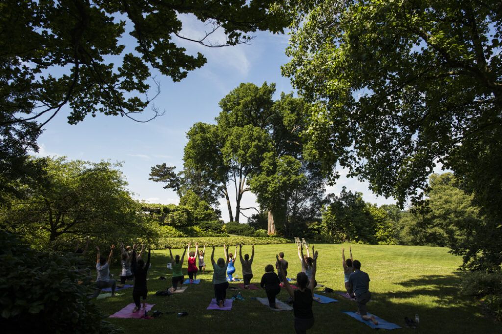 Yoga in the Garden 1