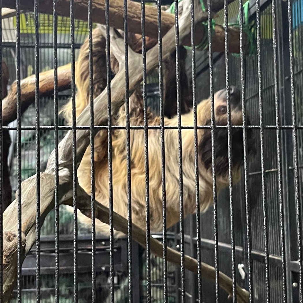 The Wildlife Education and Conservation Center(MUST GET TICKETS THROUGH WEBSITE!) 2