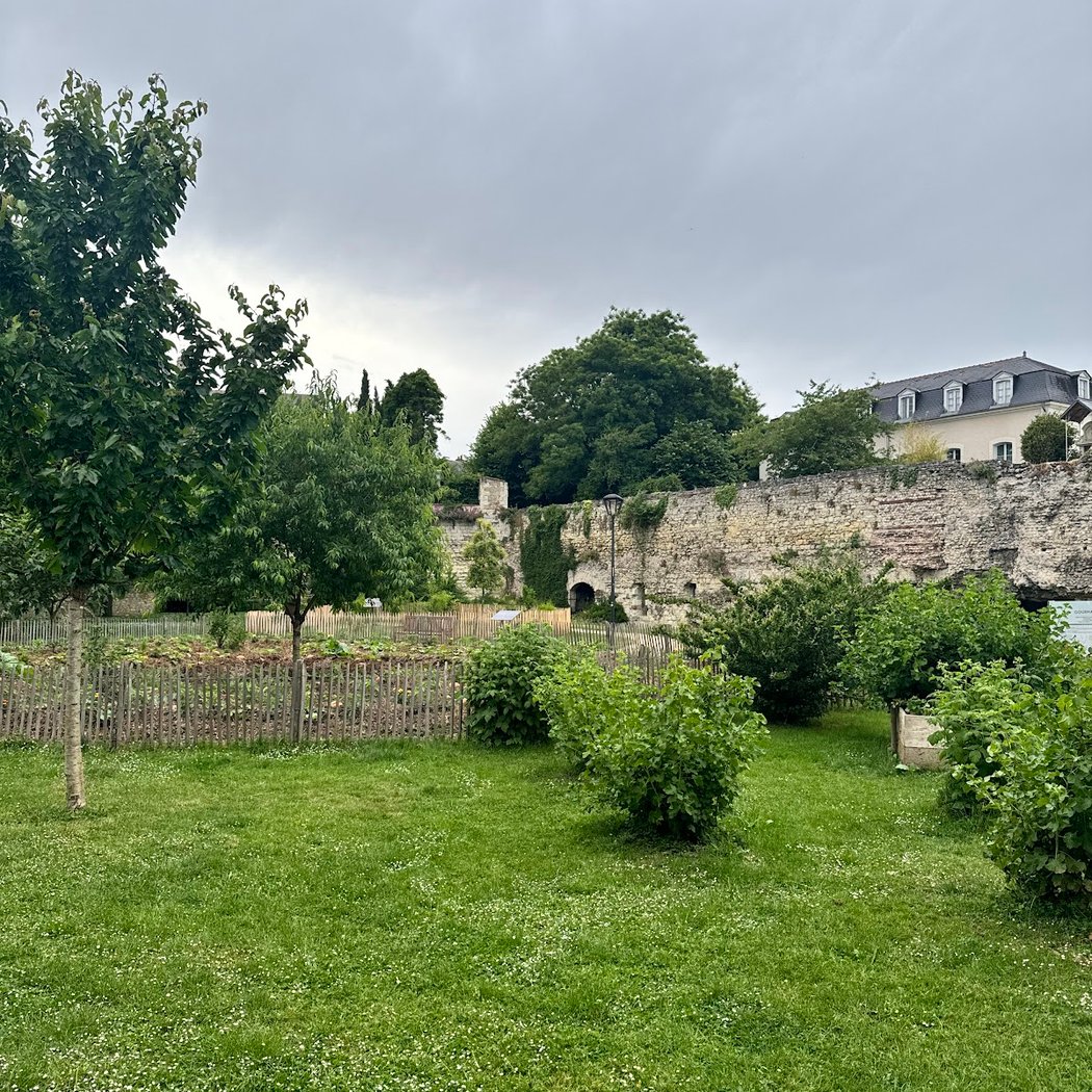 Vikings Garden 2