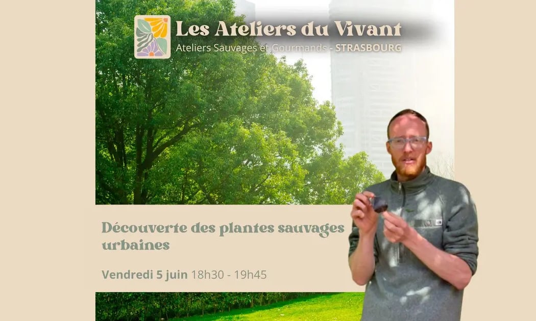 Découverte des Plantes Urbaines avec Les Ateliers du Vivant 1