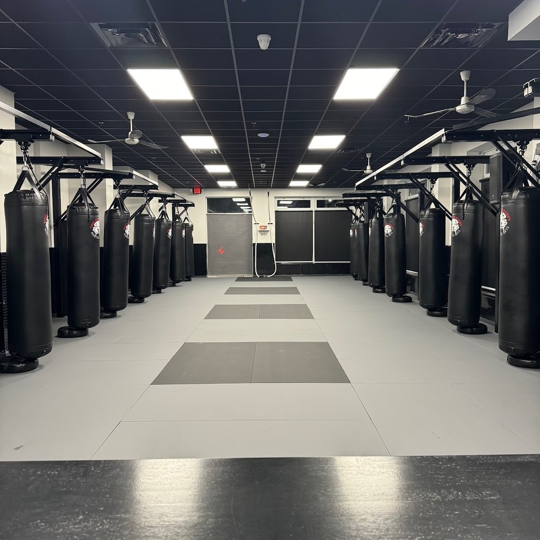 Tiger Schulmann's Martial Arts (Carroll Gardens, NY) 2