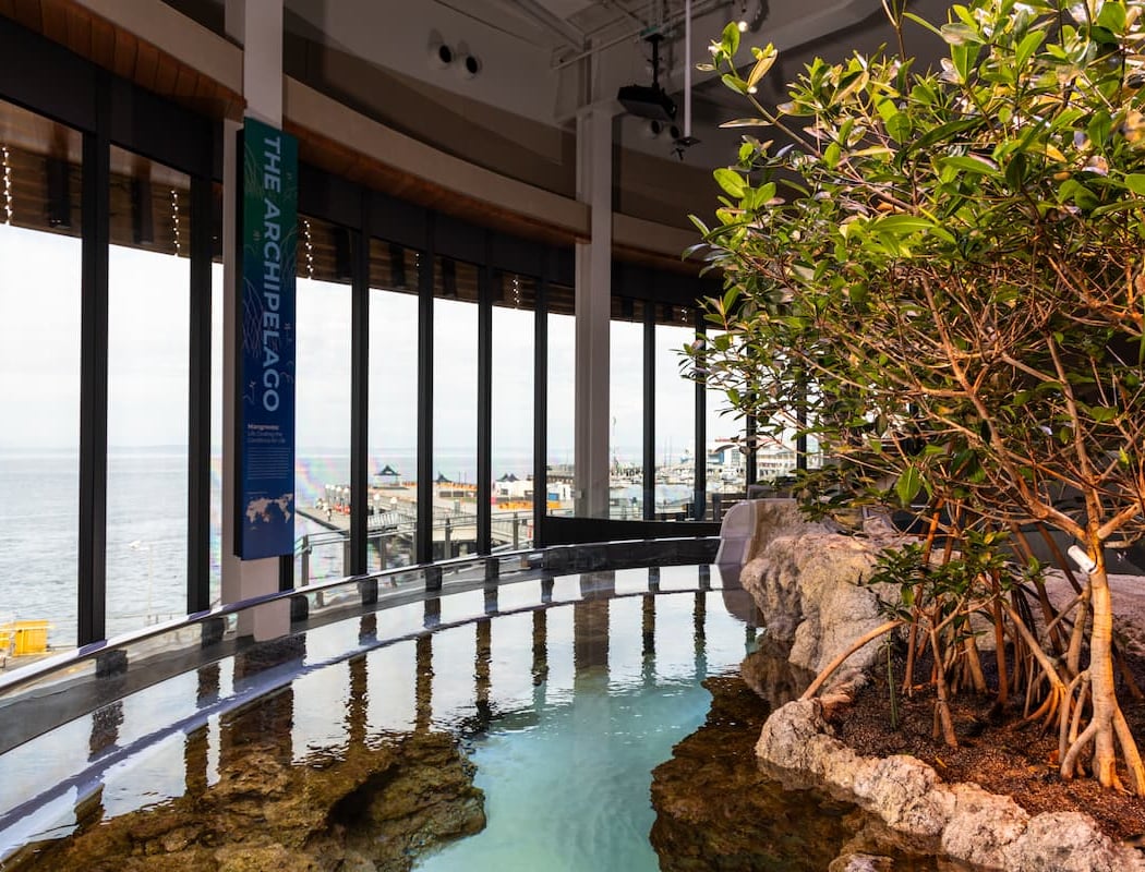 Seattle Aquarium Ocean Pavilion 3