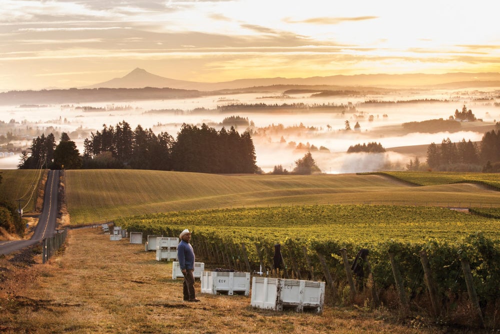 Goodfellow: The Best of the Willamette Valley 1