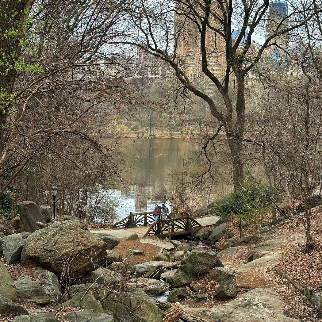 Azalea Pond 3