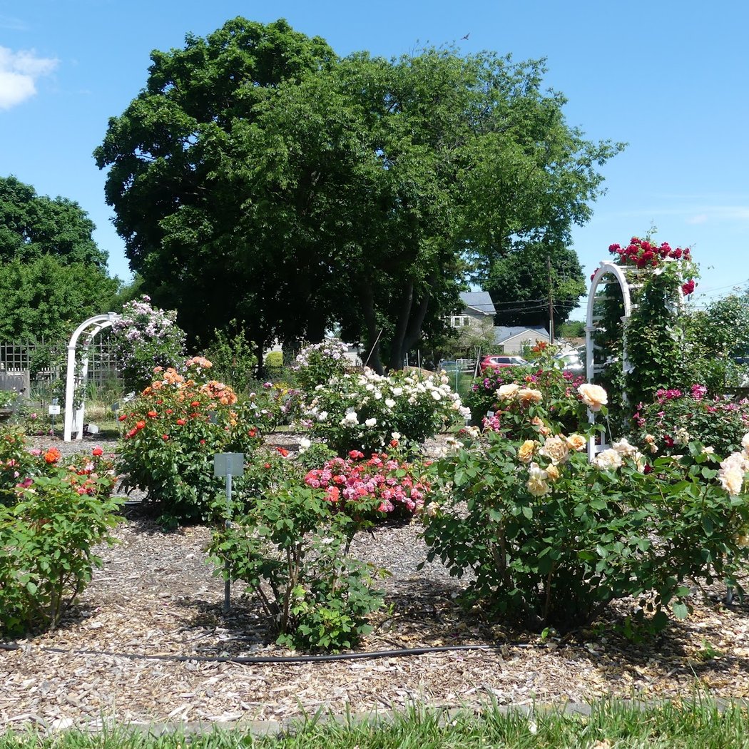 East Meadow Farm 3