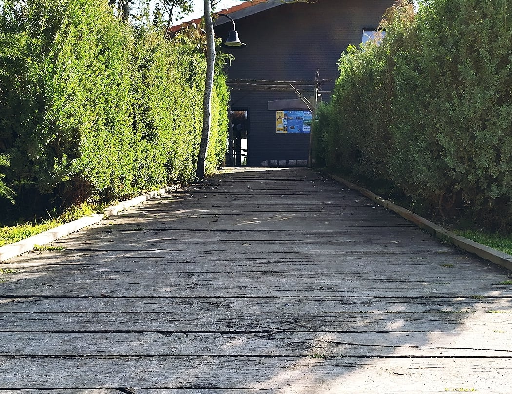 Les bois flottés 3