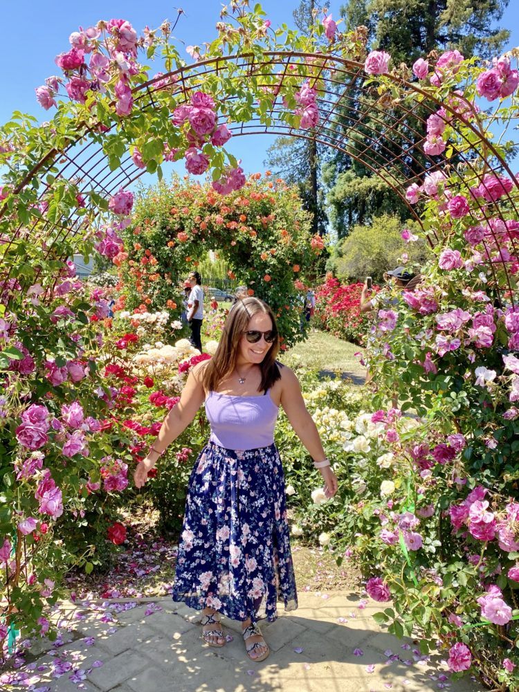 Municipal Rose Garden 1