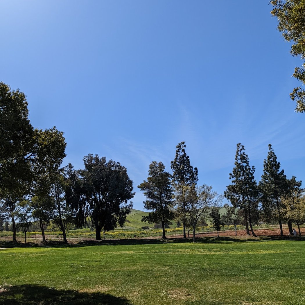John Henry Johnson Park 2