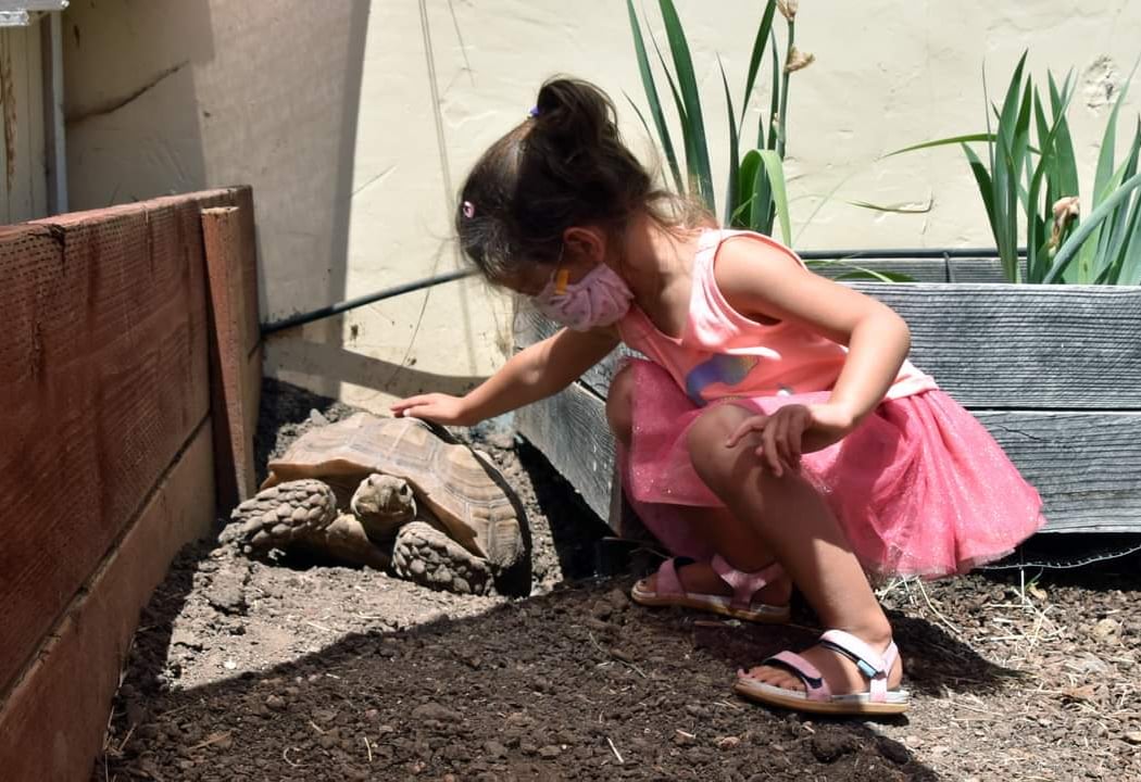 Petaluma Wildlife Museum 3