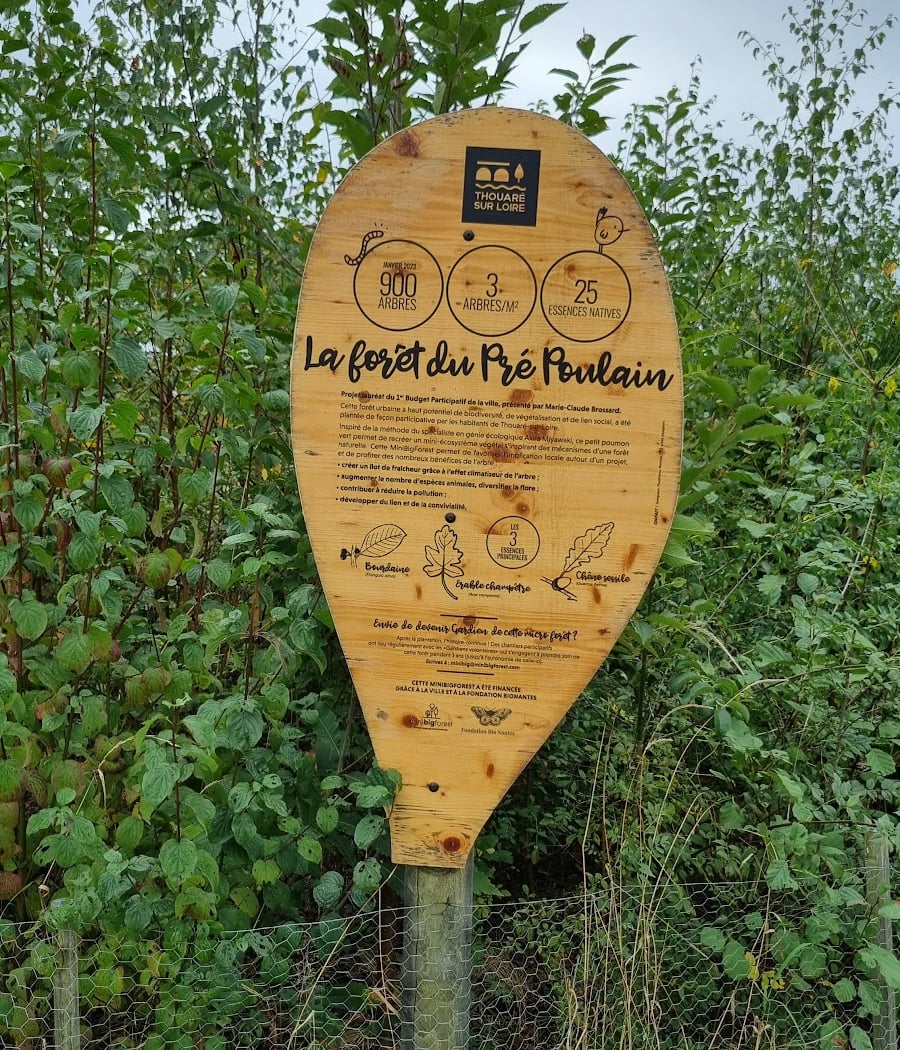 La forêt du Pré Poulain 1