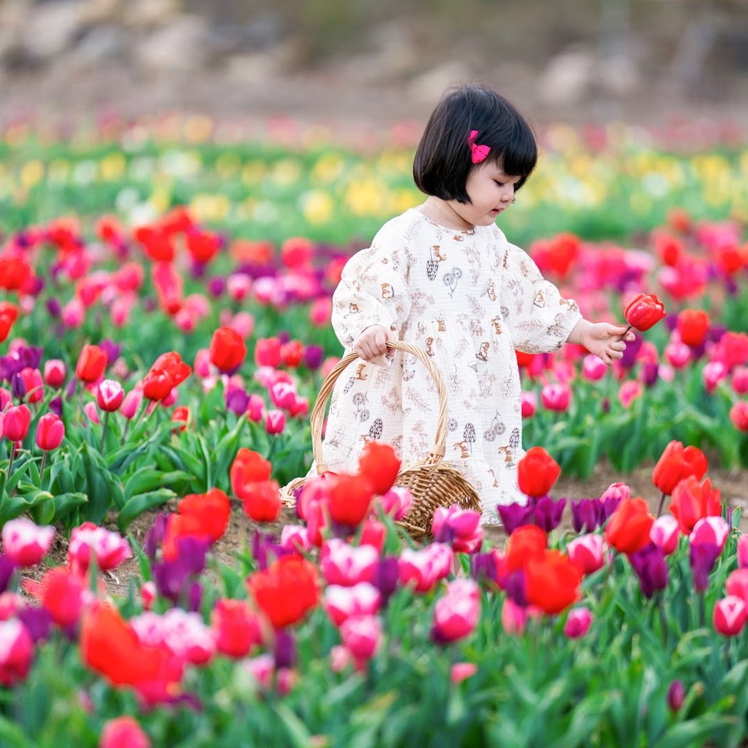 Wicked Tulips - Exeter RI 1