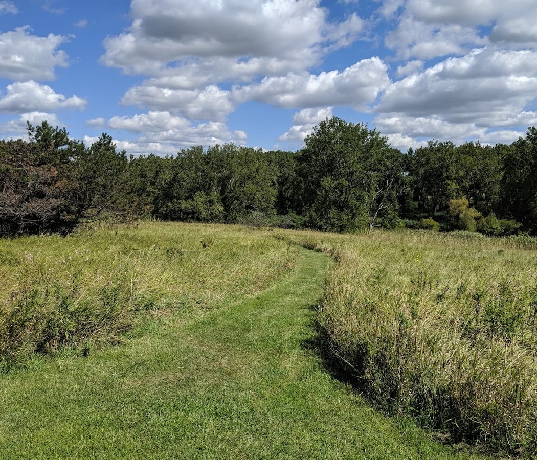Tifft Nature Preserve 3