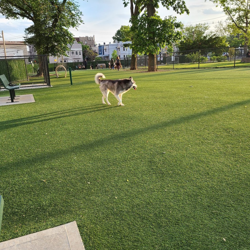 Washington Park Dog Run 2
